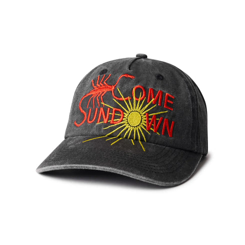 Come Sundown - Entomology Cap
